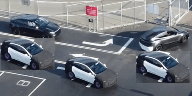 Tesla Model Y prototype