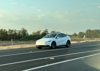 Affordable Tesla Model Y spotted without camouflage near Giga Texas