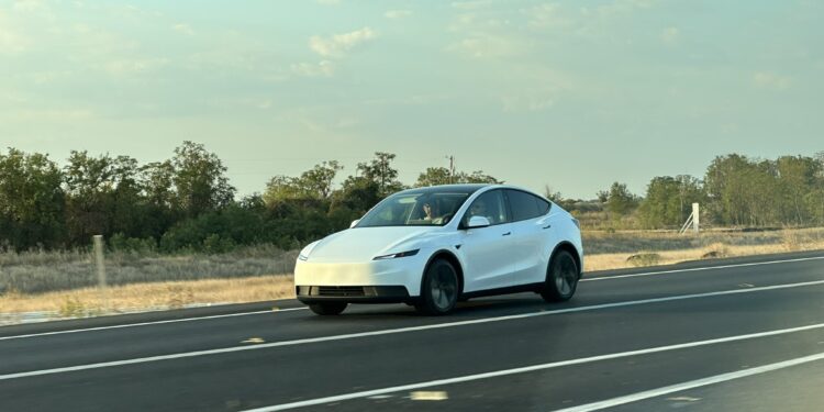 Affordable Tesla Model Y spotted without camouflage near Giga Texas