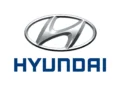 California Lawsuit Wants To Ban Hyundai And Kia Sales Over Child Labor Allegations